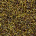 Pugi fenice 469 Swatch image for Pugi fenice 469